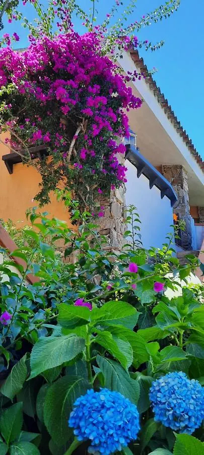 Smeralda Wave - Sea View Apartment Porto Rotondo 0*,  Italy